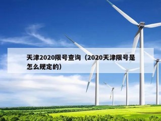 天津2020限号查询（2020天津限号是怎么规定的）