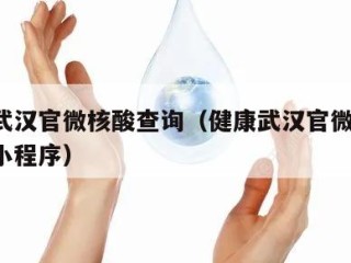 健康武汉官微核酸查询（健康武汉官微 核酸查询小程序）