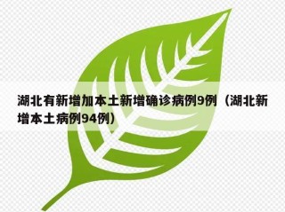 湖北有新增加本土新增确诊病例9例（湖北新增本土病例94例）