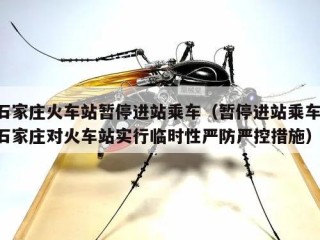 石家庄火车站暂停进站乘车（暂停进站乘车!石家庄对火车站实行临时性严防严控措施）