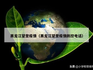 黑龙江望奎疫情（黑龙江望奎疫情防控电话）