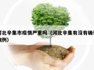 河北辛集市疫情严重吗（河北辛集有没有确诊病例）