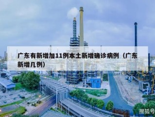广东有新增加11例本土新增确诊病例（广东新增几例）