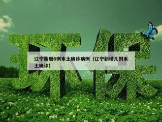 辽宁新增6例本土确诊病例（辽宁新增几例本土确诊）