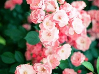 时时赚app下载绿色版V81.37.171.157ios版本-推荐
