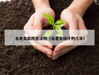 毛老太出院进法院（毛老太估计判几年）